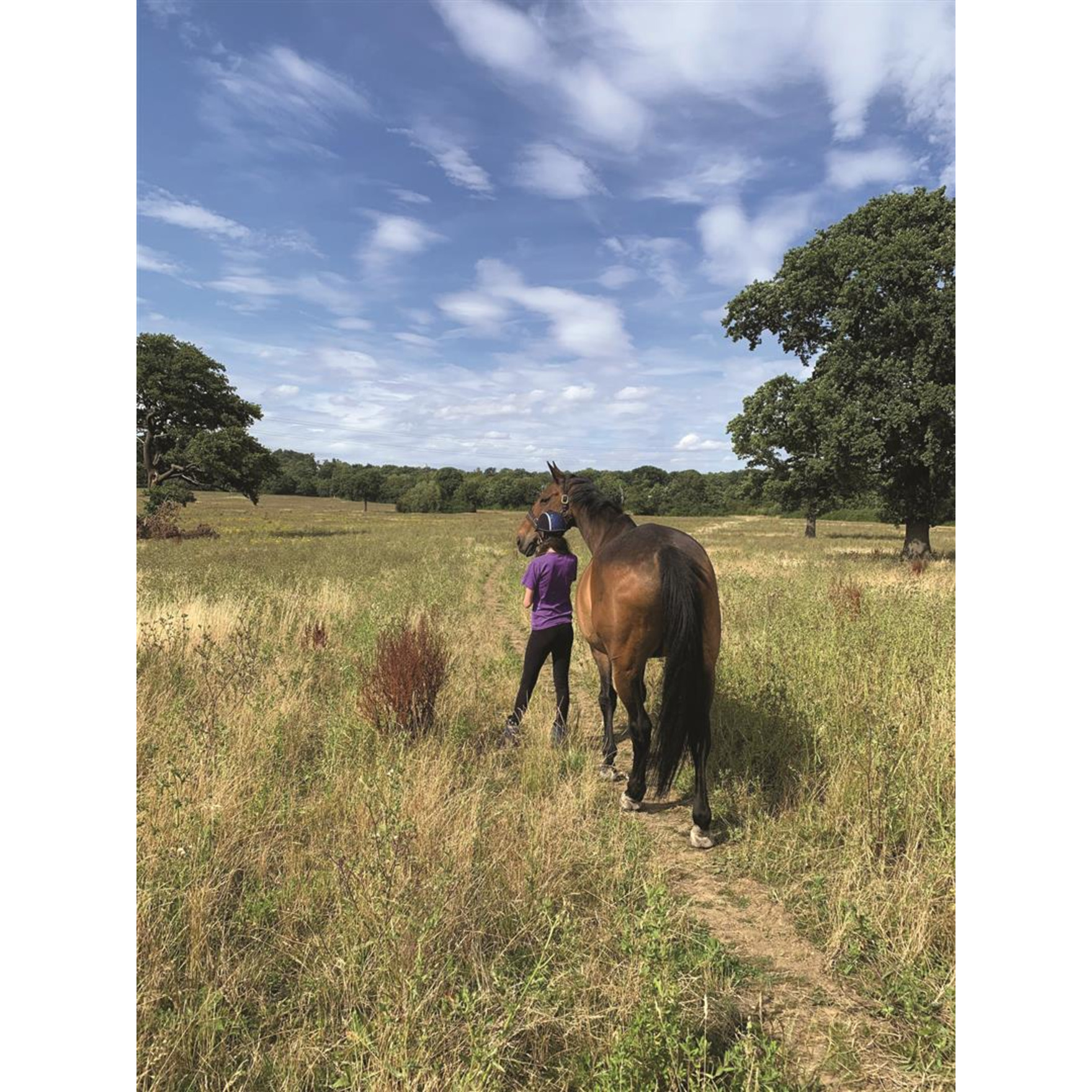 STRENGTH AND LEARNING THROUGH HORSES
