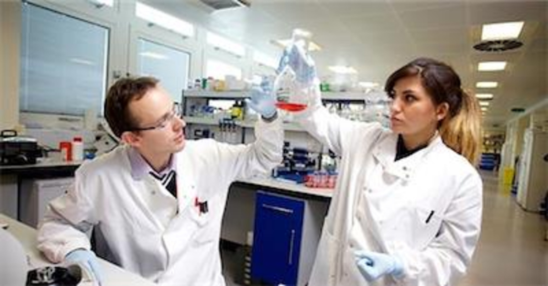 THE MCF Supports The Motor Neurone Disease Association